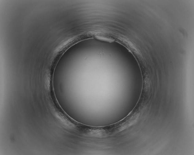 X0000112050446200908111353