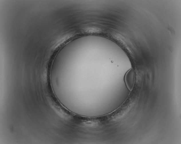 X0000112050447200908111353