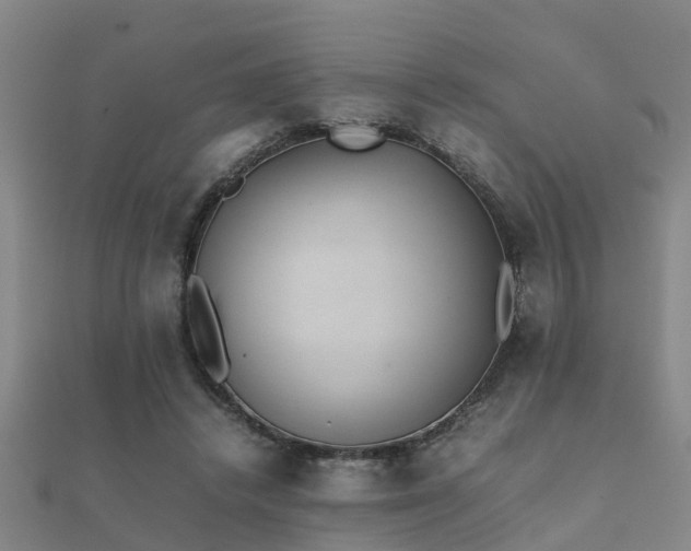 X0000112050448200908111353