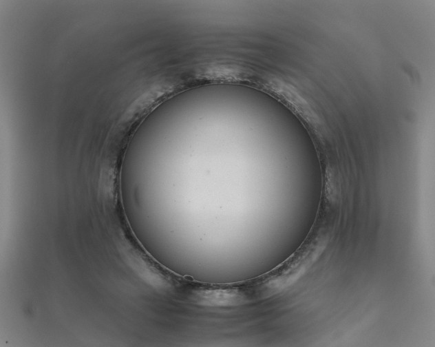 X0000112050449200908111353