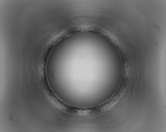 X0000112050450200908111353