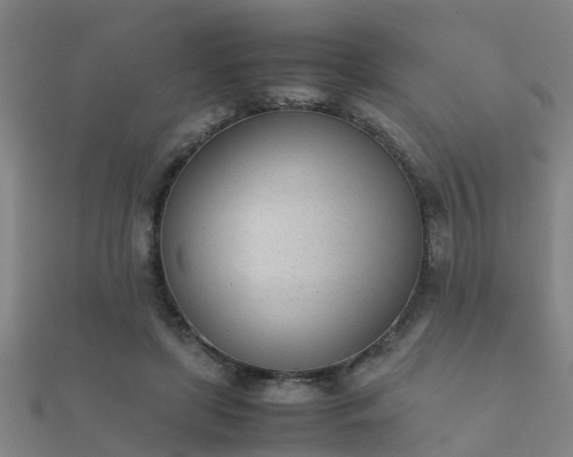 X0000112050451200908111353