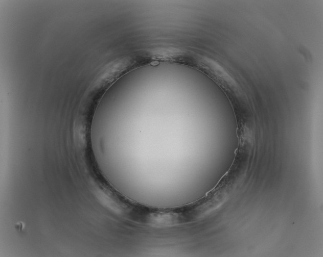 X0000112050452200908111353