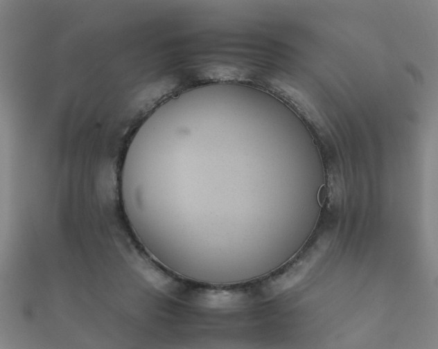 X0000112050453200908111353