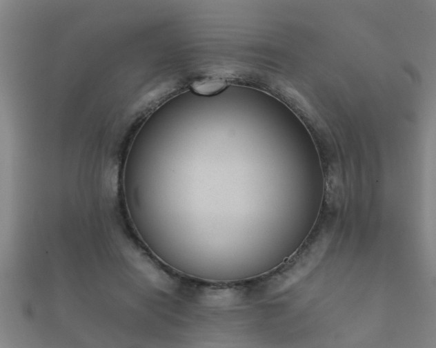 X0000112050454200908111353