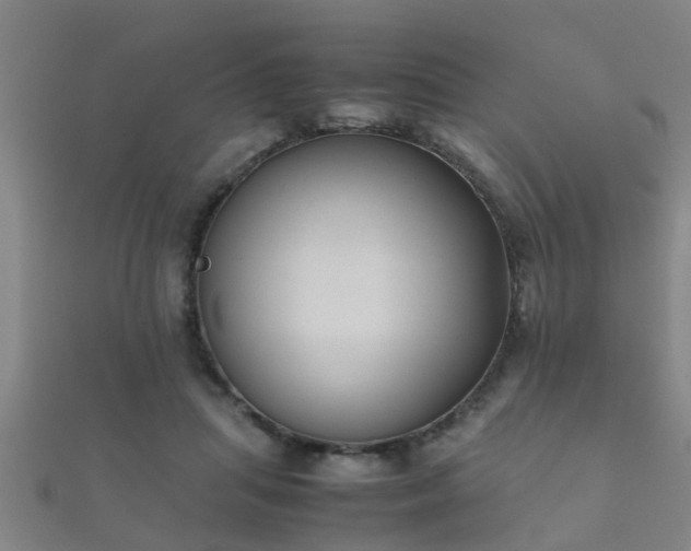 X0000112050455200908111353