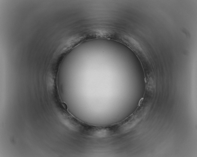 X0000112050456200908111354