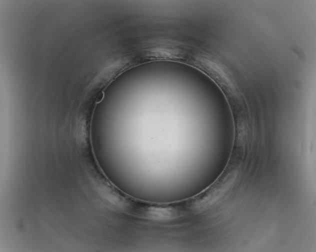 X0000112050457200908111354