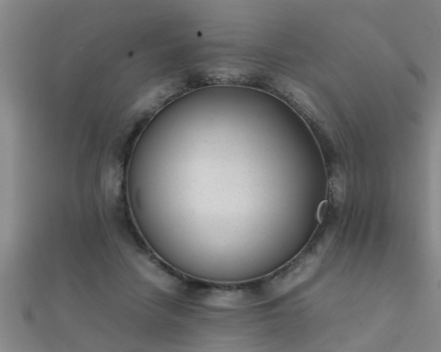 X0000112050458200908111354