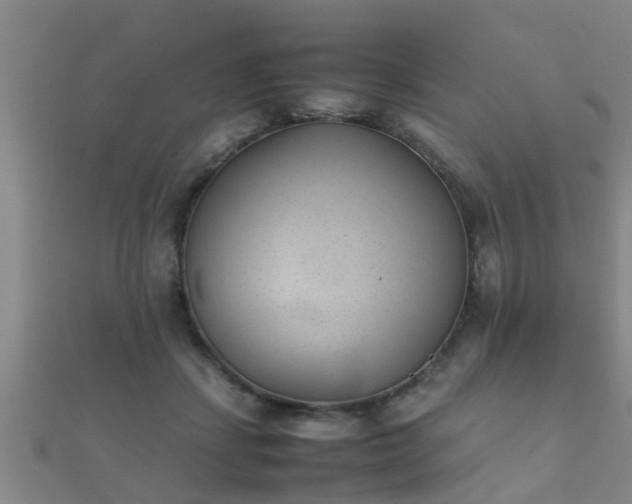 X0000112050459200908111354