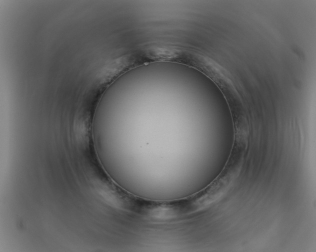 X0000112050460200908111354