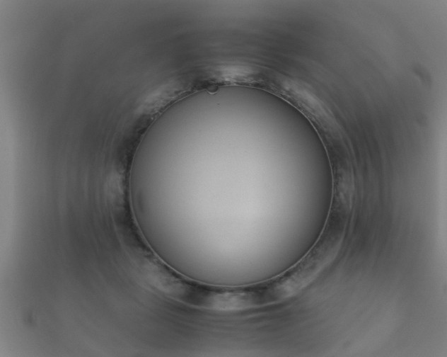 X0000112050461200908111354