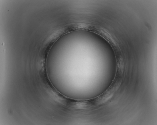 X0000112050462200908111354