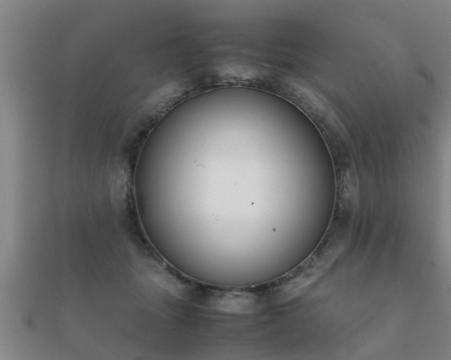 X0000112050463200908111354