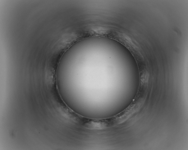 X0000112050464200908111354