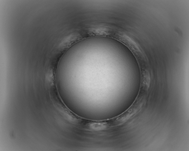 X0000112050465200908111354