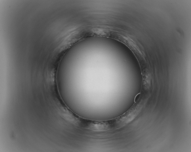 X0000112050466200908111354