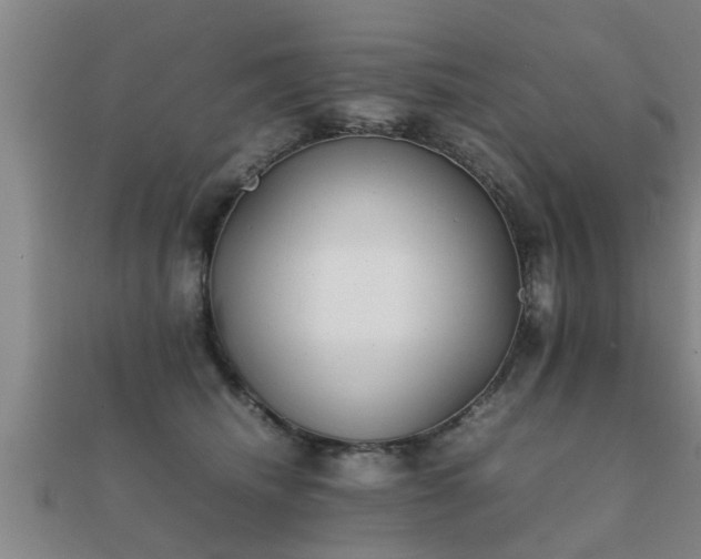 X0000112050468200908111354