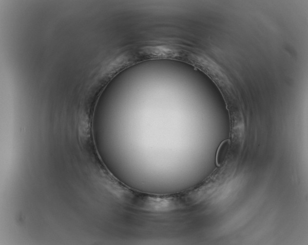 X0000112050469200908111354