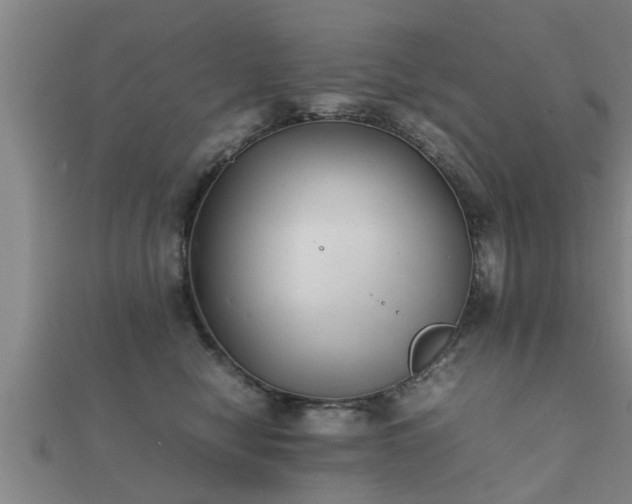 X0000112050470200908111354