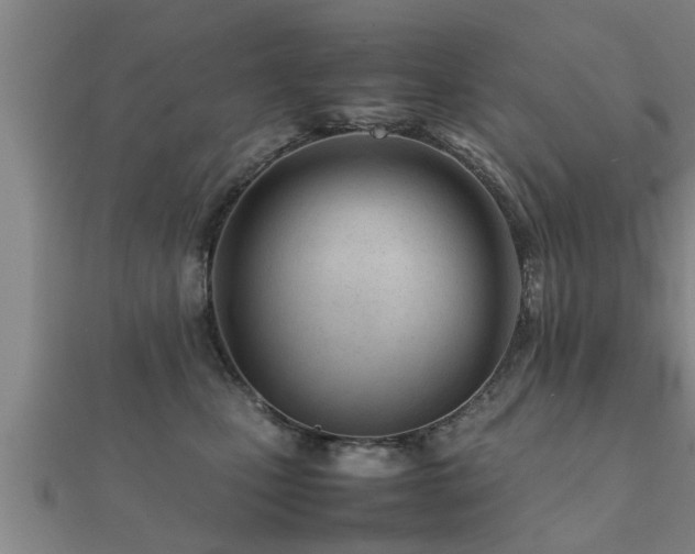 X0000112050471200908111354