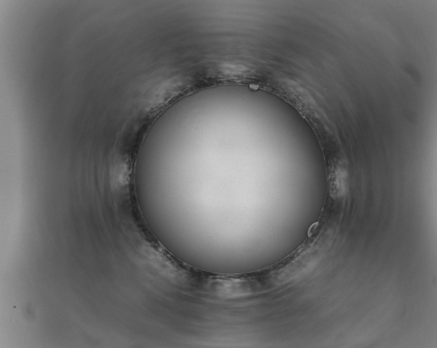 X0000112050472200908111354