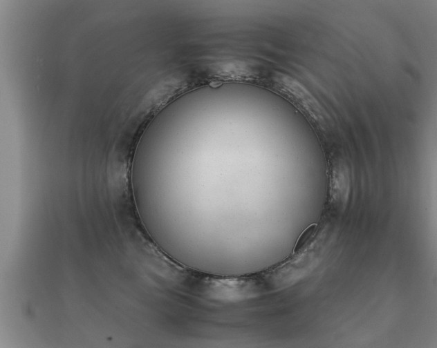 X0000112050473200908111354