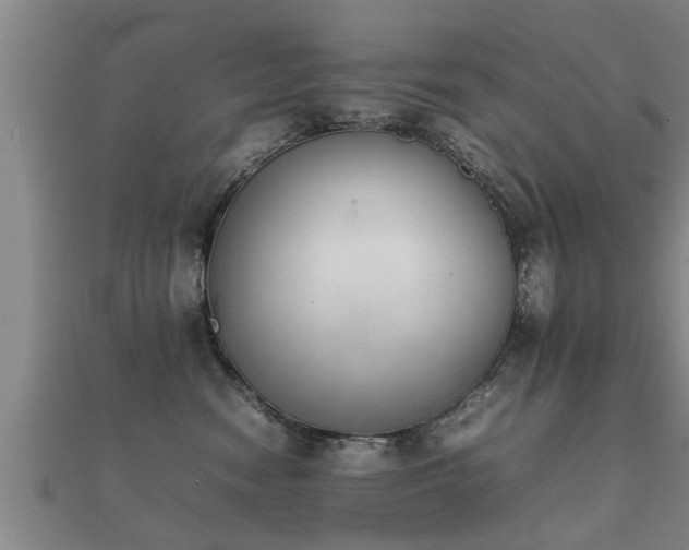 X0000112050474200908111354