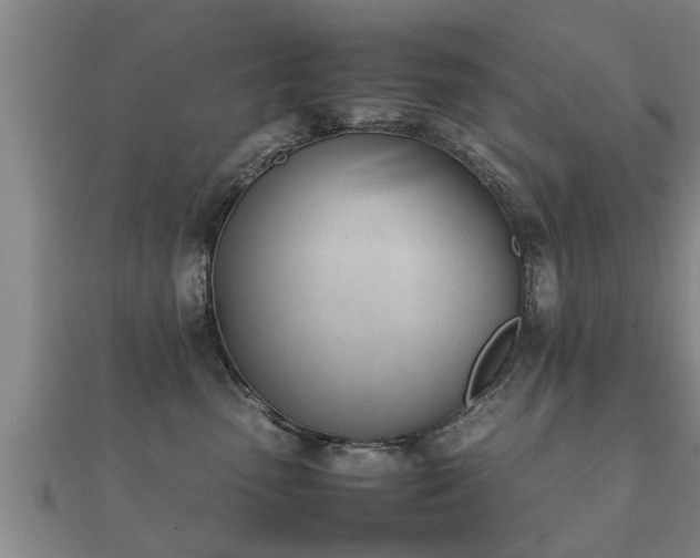 X0000112050475200908111354