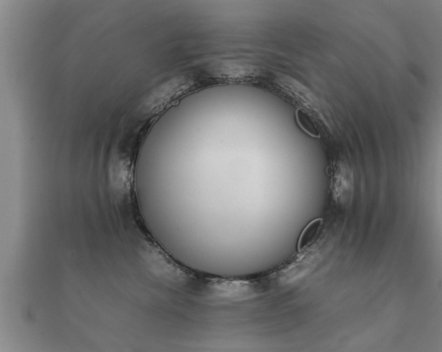 X0000112050476200908111354