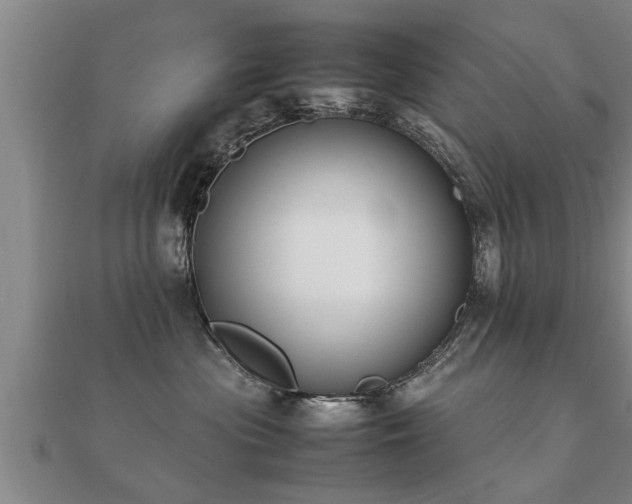 X0000112050477200908111354