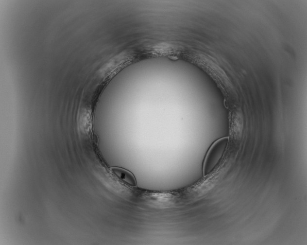 X0000112050478200908111354