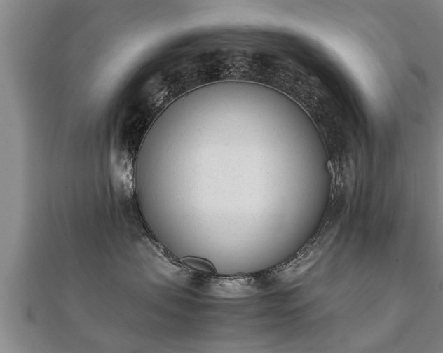 X0000112050479200908111354