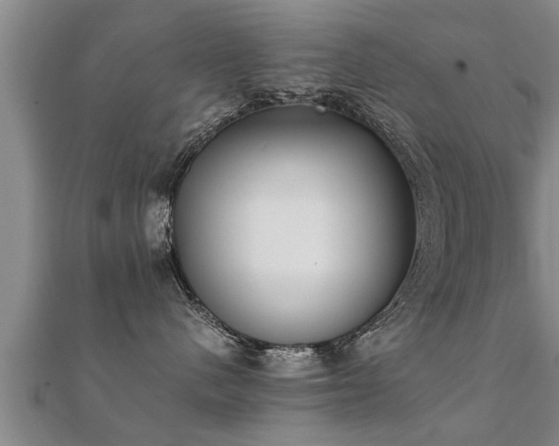 X0000112050480200908111354