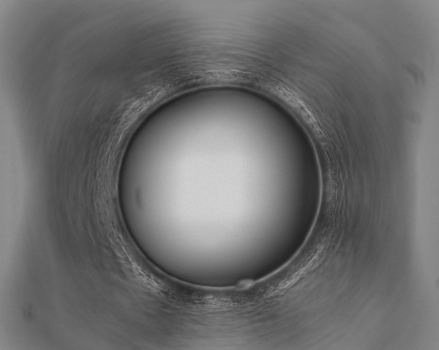 X0000112050481200908111353