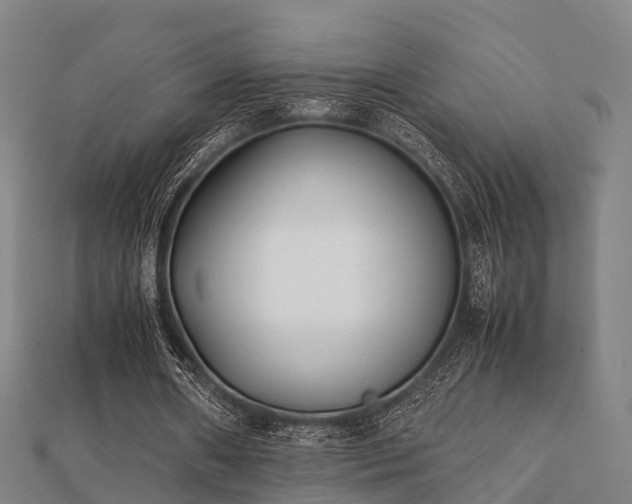 X0000112050482200908111353