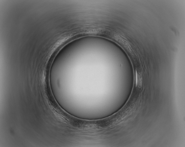 X0000112050483200908111353