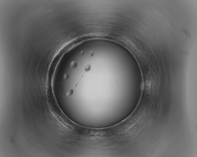 X0000112050484200908111353