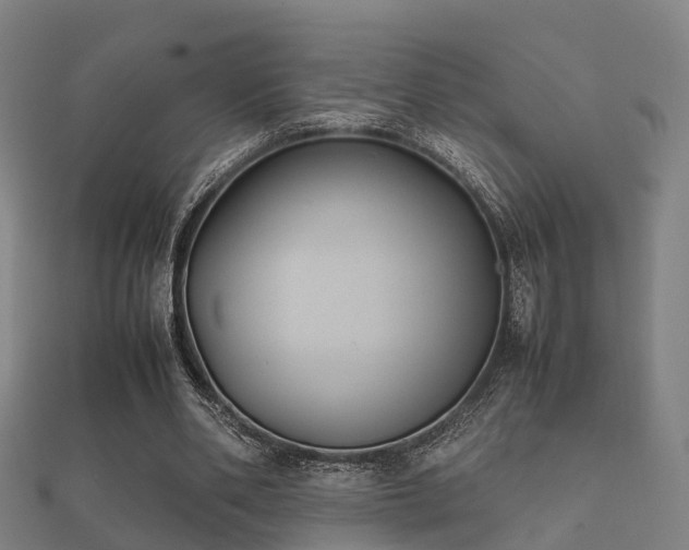 X0000112050486200908111353