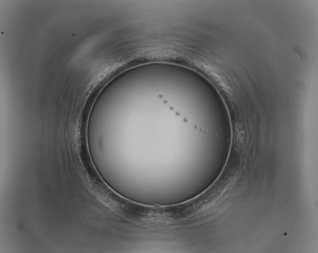 X0000112050487200908111353