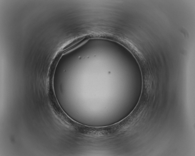 X0000112050488200908111353