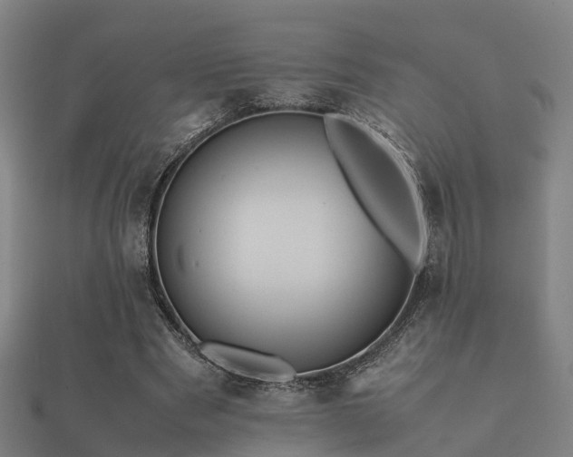 X0000112050489200908111353