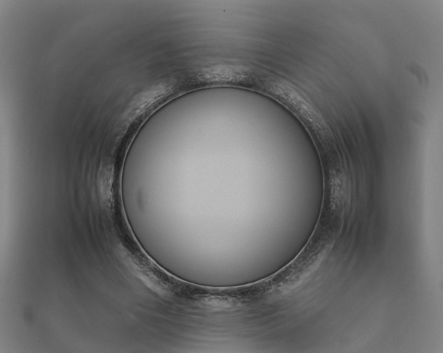 X0000112050490200908111353