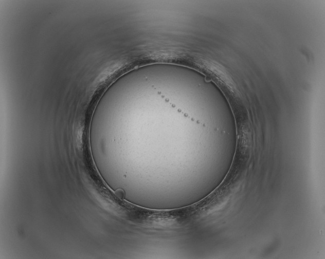 X0000112050491200908111353