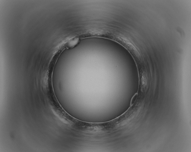 X0000112050492200908111353