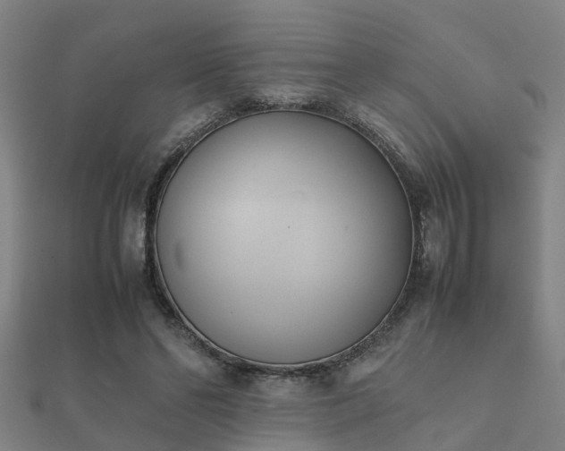 X0000112050494200908111353