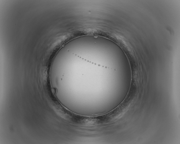 X0000112050495200908111353