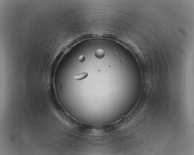 X0000112050496200908111353