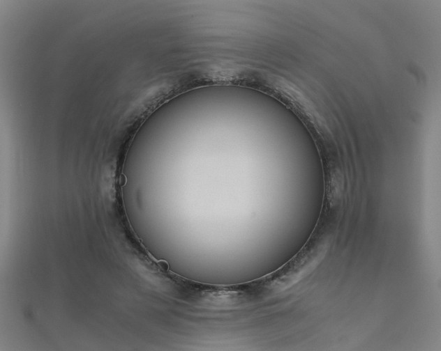 X0000112050497200908111353