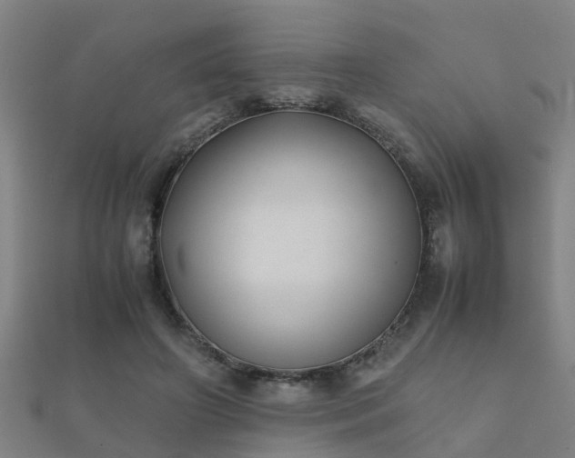 X0000112050498200908111353